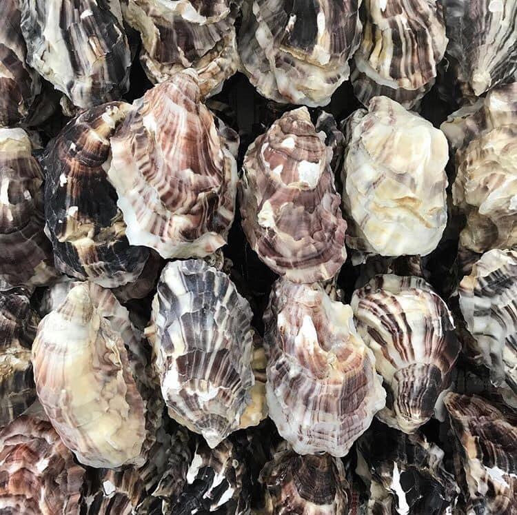 Native Cornish Oysters By The Dozen