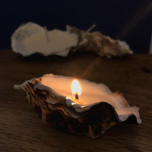 Handmade Cornish oyster candles 4pk